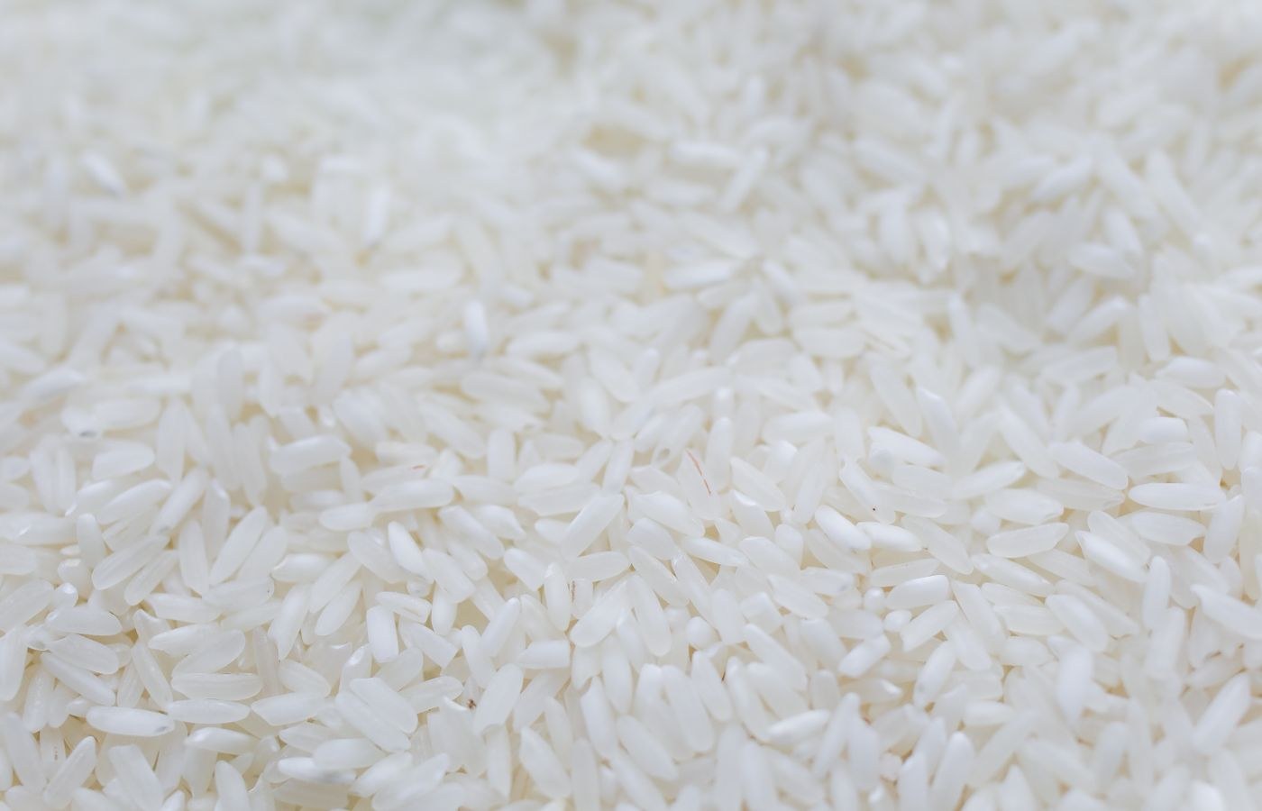 Agro-Processing & Food Engineering